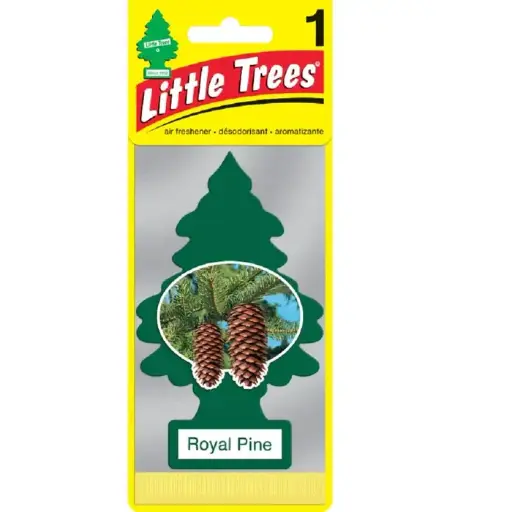 Little Trees Royal Pine
